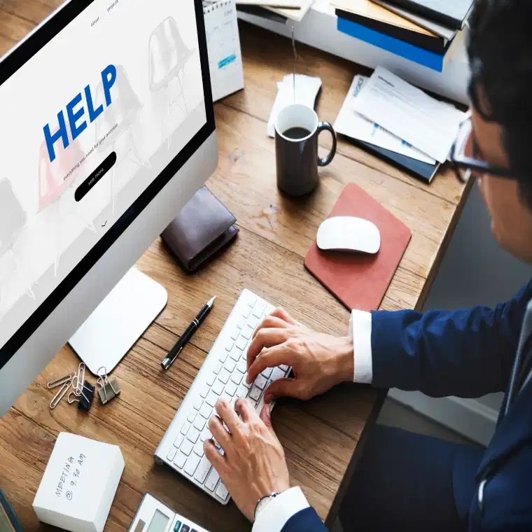 Design & Development